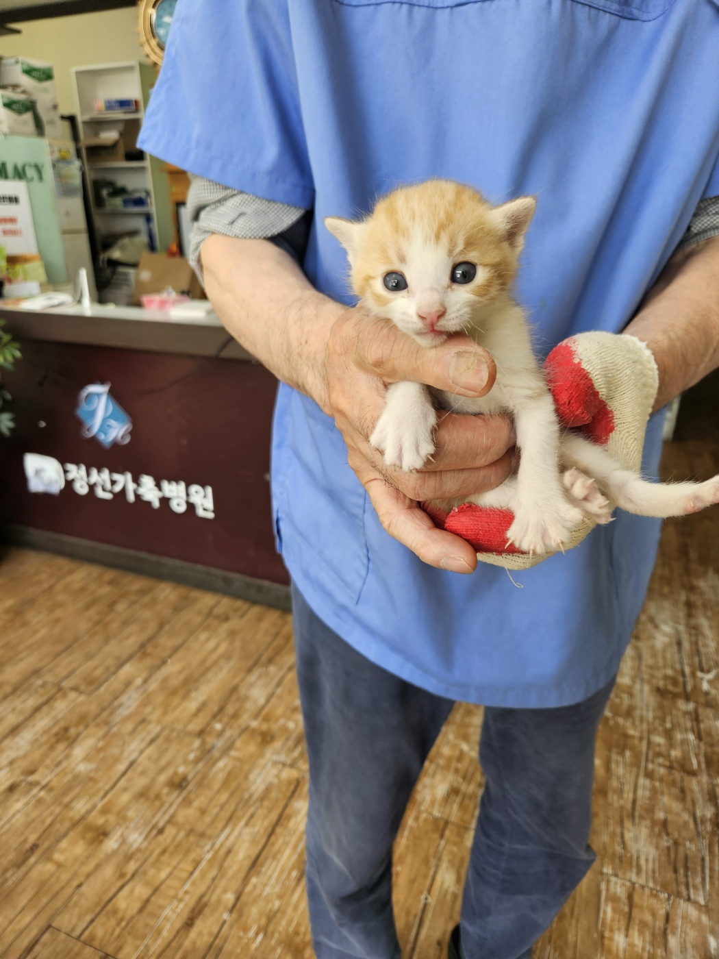 믹스묘 이미지 파일 입니다.
